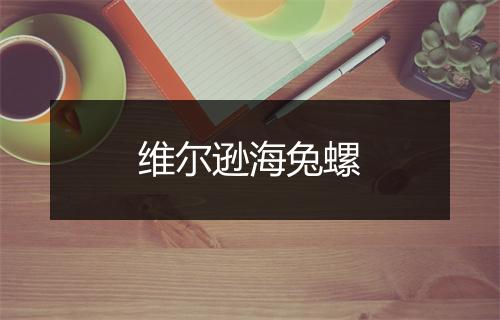 维尔逊海兔螺