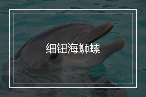 细钮海蛳螺