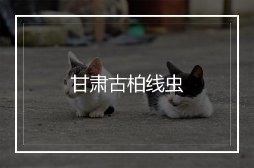 甘肃古柏线虫