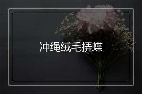 冲绳绒毛挵蝶