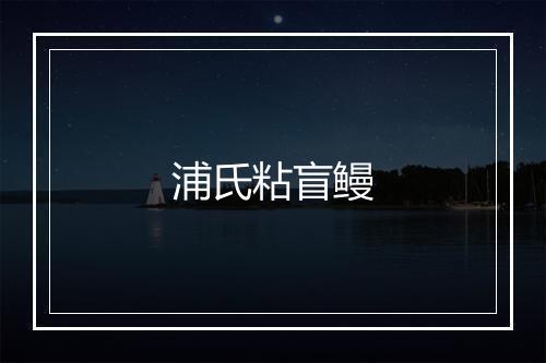 浦氏粘盲鳗