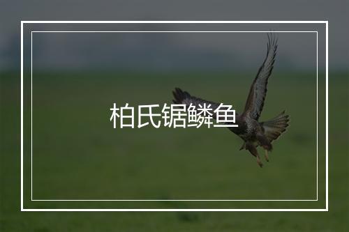 柏氏锯鳞鱼