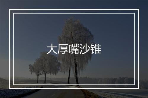 大厚嘴沙锥