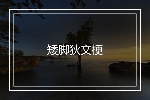 矮脚狄文梗