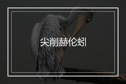 尖削赫伦蚓