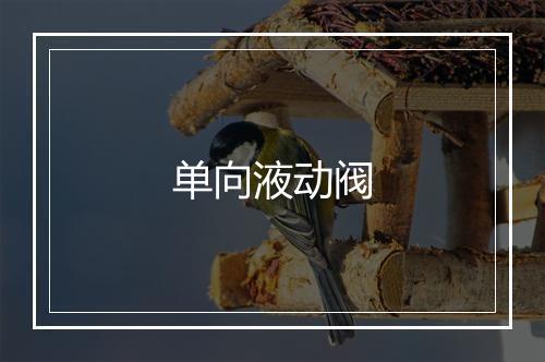 单向液动阀