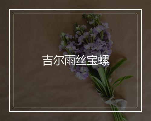 吉尔雨丝宝螺