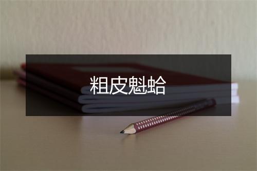 粗皮魁蛤