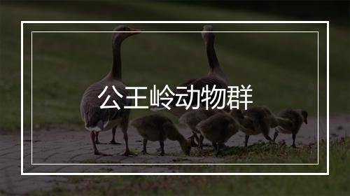 公王岭动物群