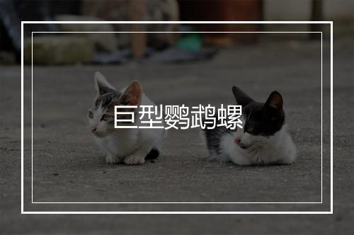 巨型鹦鹉螺