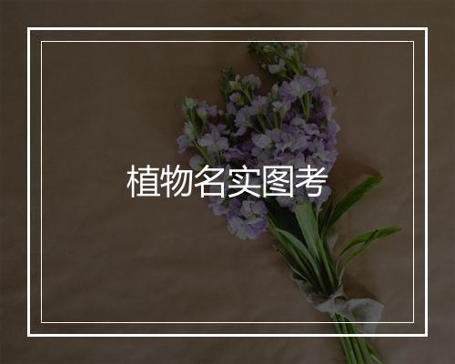 植物名实图考