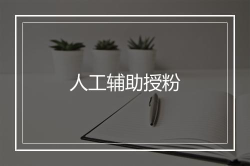 人工辅助授粉