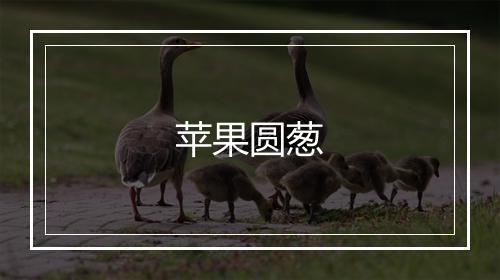 苹果圆葱