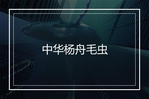 中华杨舟毛虫