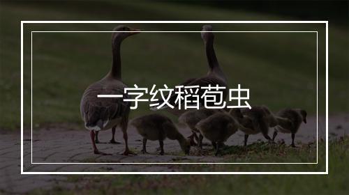 一字纹稻苞虫