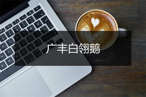 广丰白翎鹅