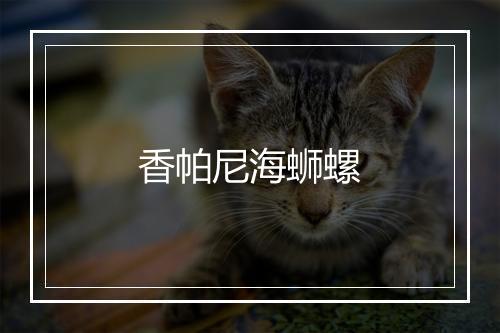 香帕尼海蛳螺