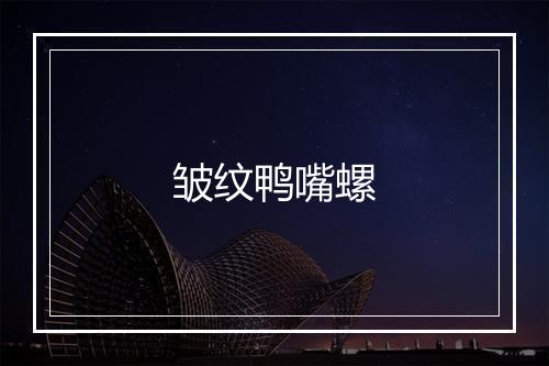 皱纹鸭嘴螺