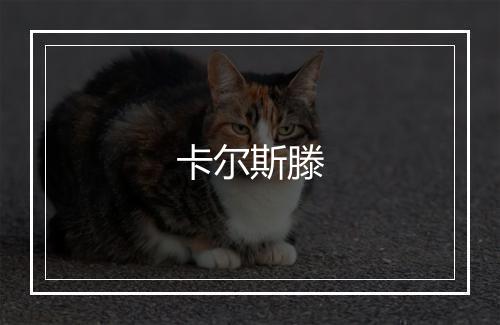 卡尔斯滕