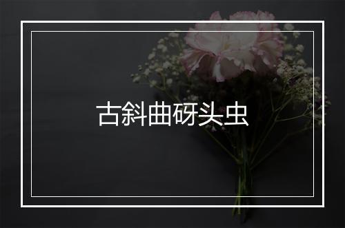 古斜曲砑头虫