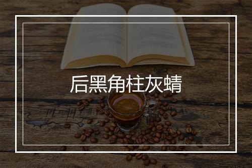 后黑角柱灰蜻