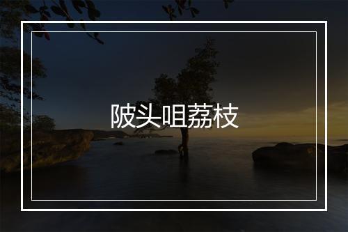 陂头咀荔枝