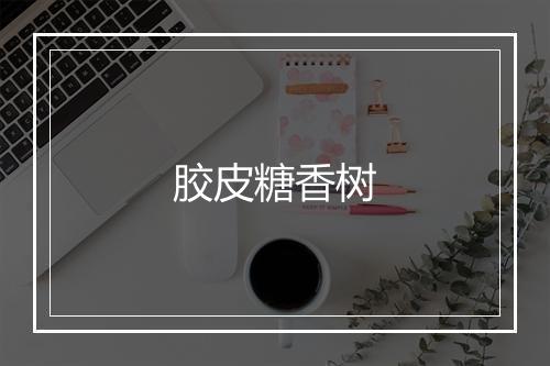 胶皮糖香树