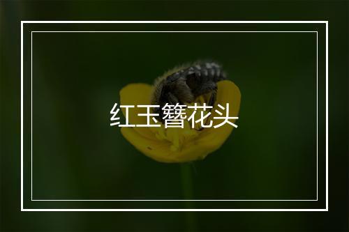 红玉簪花头