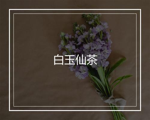 白玉仙茶