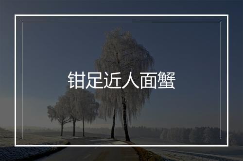 钳足近人面蟹