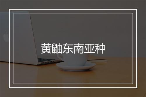 黄鼬东南亚种