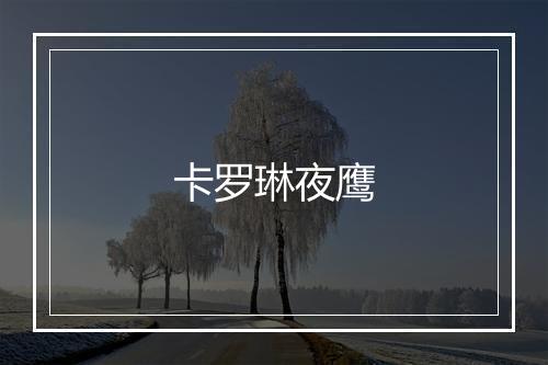 卡罗琳夜鹰