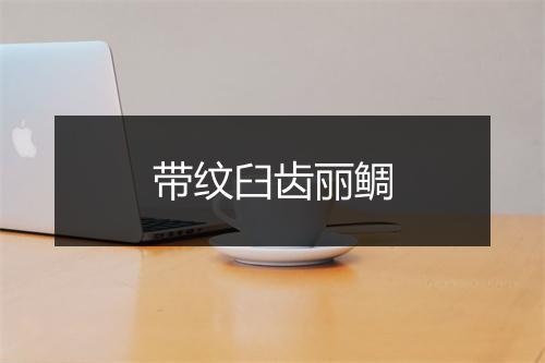 带纹臼齿丽鲷