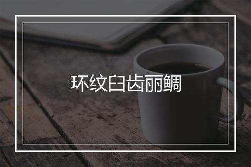 环纹臼齿丽鲷