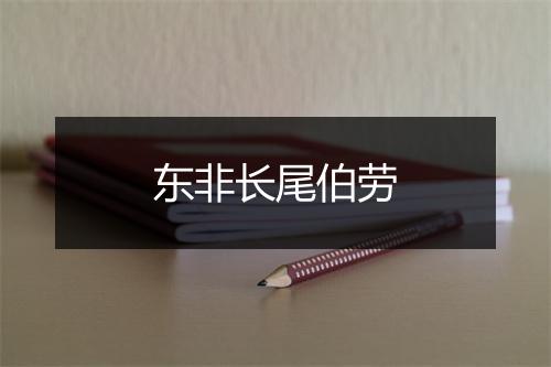 东非长尾伯劳