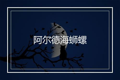 阿尔德海蛳螺