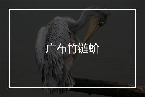 广布竹链蚧