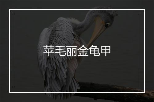 苹毛丽金龟甲