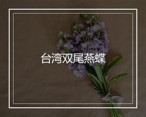 台湾双尾燕蝶