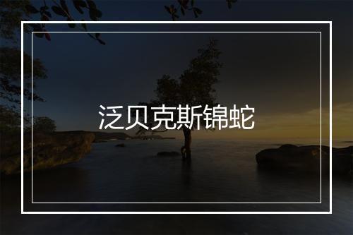 泛贝克斯锦蛇