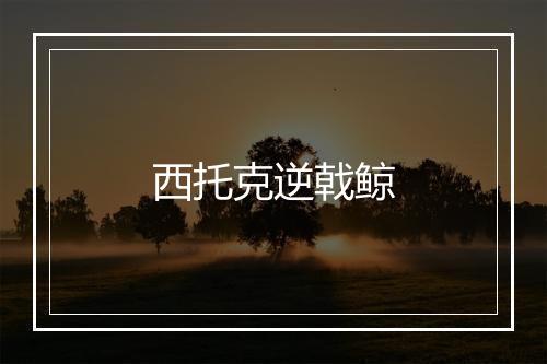 西托克逆戟鲸