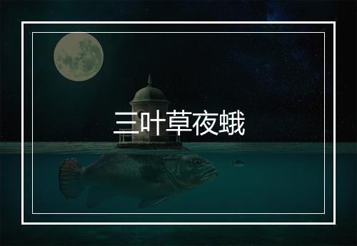 三叶草夜蛾