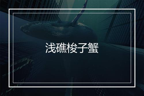 浅礁梭子蟹