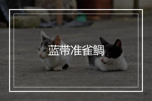 蓝带准雀鲷