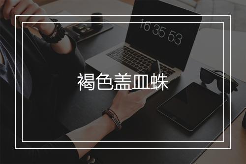 褐色盖皿蛛