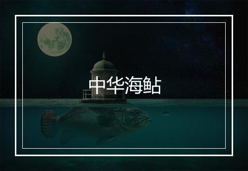 中华海鲇