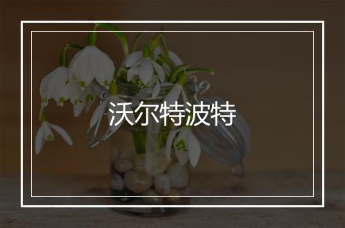 沃尔特波特