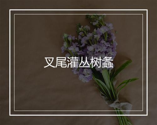 叉尾灌丛树螽