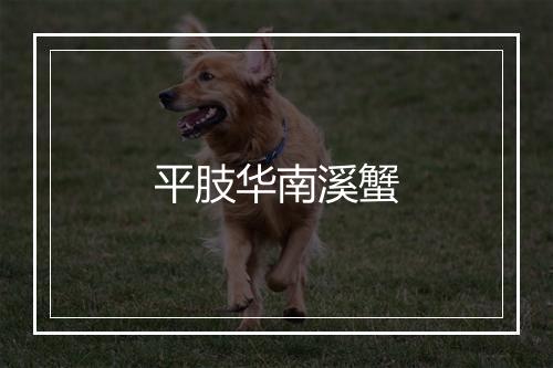 平肢华南溪蟹