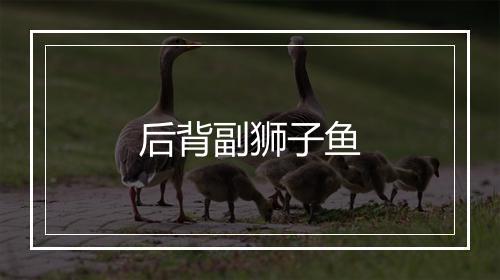 后背副狮子鱼